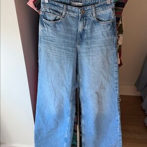 Zara Wide Leg Jean